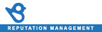 Birdeye Agency Partner